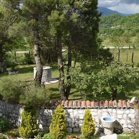 B&B Nel Verde Montesano sulla Marcellana Eksteriør bilde