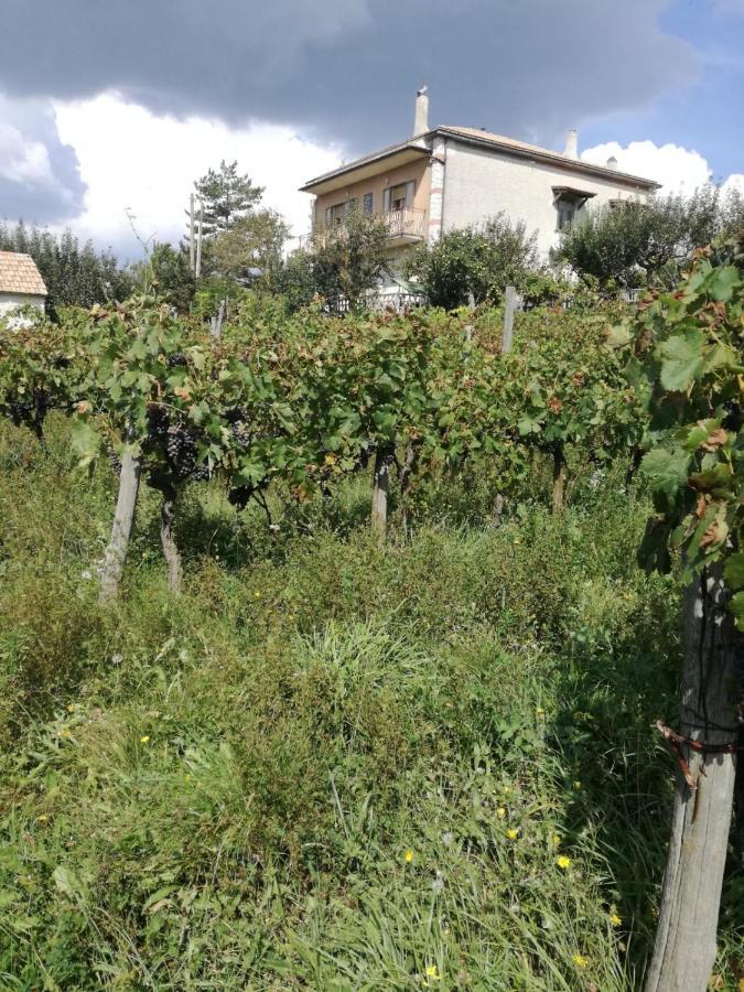 B&B Nel Verde Montesano sulla Marcellana Eksteriør bilde